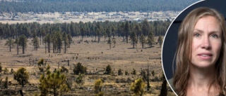 Gästforskare i USA • "Kan norra Sverige lära sig något av energiomställningen i Arizona?"