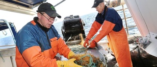 Stort upprop för hotat fiske