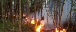 UPPDATERAD: Gotländska brandmän kämpar mot skogsbrand