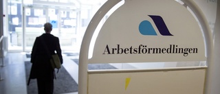 Ansvarslöst och kortsiktigt att slakta Arbetsförmedlingen