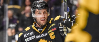 Petterström om nya tjänsten – i SHL