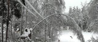 Snöstorm inledde 1918