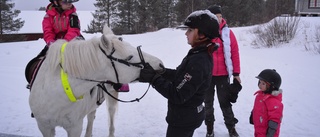 Storsatsning på Tjamstan ska locka fler till Malå