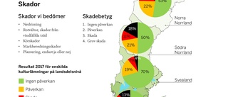 Skadorna av skogsbruket ökar 