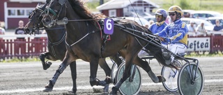 Forsvira klättrar uppåt