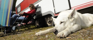 Campingsäsongen har börjat