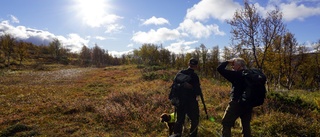 Nya regler för fjälljakt - näringen tappar stort