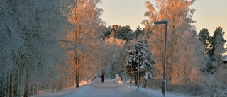 Läsarbilden: Midvinterljus    