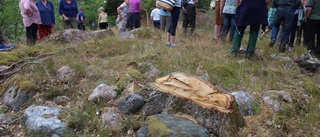 Järnåldern lockade många