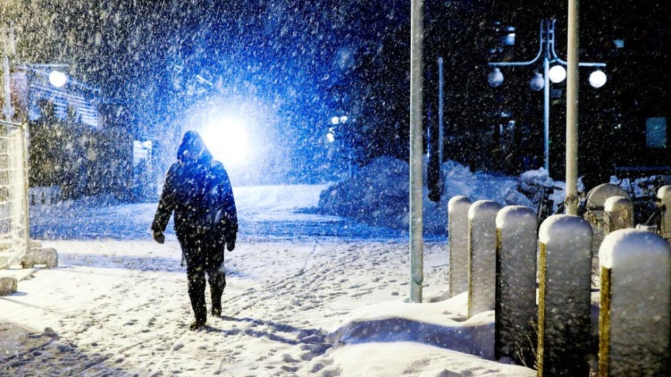vinter snö oväder dåligt väder storm blåst blåsigt kallt kyla promenad promenera promma gå ute utomhus norrbotten norrland luleå ltu