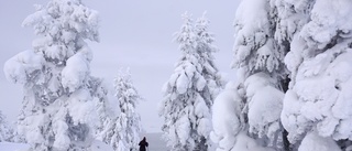 Vinteräventyret finns alldeles runt knuten: ”Bara över tröskeln och ut”