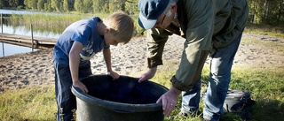 Det gö(r)s inte i brådrasket