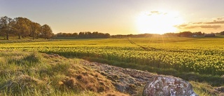 Vacker solnedgång vann i maj