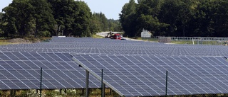 Solcellspark planeras i skärgården