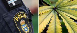 Körde bil med cannabis i blodet – 24-åring döms för flera brott