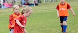 Fotbollsglädjen under Sparbanksbollen i bilder