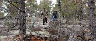 Swerock: Bergtäkter och friluftsliv går att kombinera