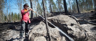 Här bränner de ner skogen – för att gynna djurlivet