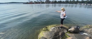 Sommarboende önskar badplats i industritung skärgårdspärla: "Skulle räcka med en liten träkonstruktion"