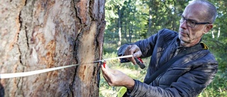 Pärlor och bottennapp i Katrineholms natur