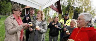 Nio dagars rabarberfest i hela Sörmland