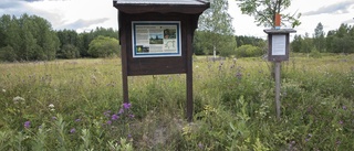 Var turist på hemmaplan: vik av mot Björkvik!