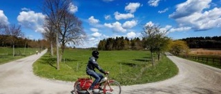 Vårtecknet: En svärm med mopedälskare