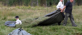 De slår slag med liarna för artrikedom i skogen