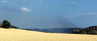 Blixtnedslag trolig orsak till skogsbrand