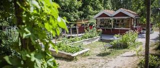 Välbesökt sommar på Fåfängan: "Har varit jättebra"