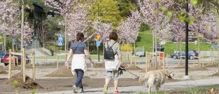 En mjukare trafikmiljö för alla