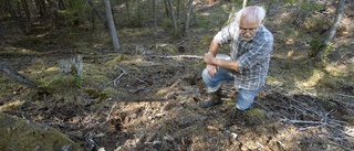 Hopp om bra svamphöst i Sörmland