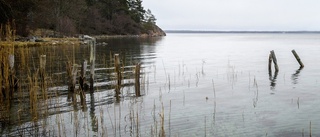 Kommunen vill köpa "unik skärgårdspärla"