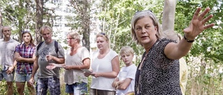 Naturpromenad bjuder på stadshistoria och nya bekantskaper