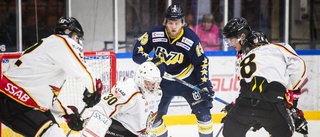 HV71 knep den sista finalplatsen