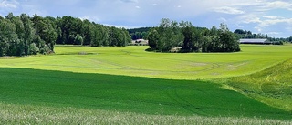 Skyddsvärd åkermark hotas i Sunnersta