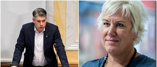 Linköpingspolitikerna om fängelsestraffen: "Känns väldigt bra" 