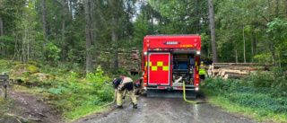 Larm om gräsbrand vid förskolor var rök från grillplats