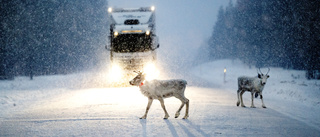 Värmen en hälsorisk – både vinter och sommar