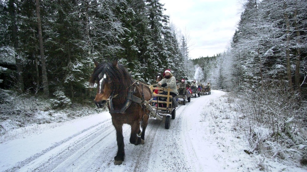 Jodå, det blir en vit jul i Enköping. Snön som faller kommer att ligga kvar på julafton.