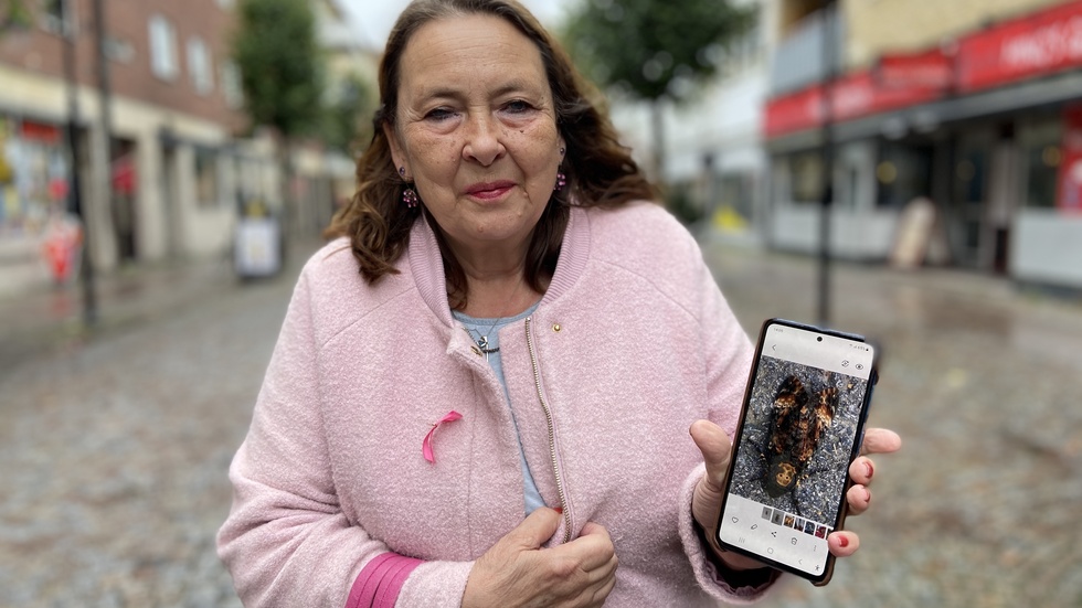 "Det här är tydligen en fjäril som man ser högst en gång i livet", säger Monika Eriksson visar upp bilden på det ovanliga djuret.