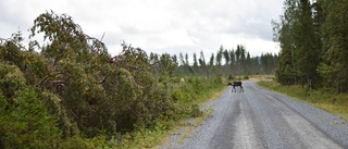 Brist på klimatanpassning leder till underskott