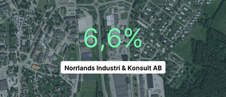 Nikab hade största omsättningen i fjol