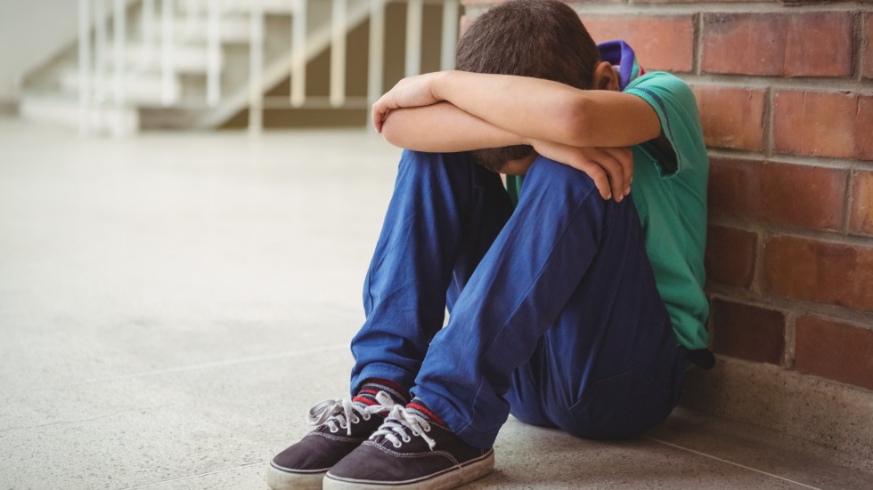 Flera beskriver också att deras barn, som tidigare känt sig utanför i skolan, inte längre vill gå dit.