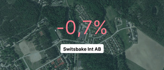 Marginell förlust för Switsbake Int AB