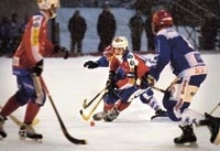 Tjust Bandy föll i seriefinalen