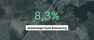 Aktiebolaget Djulö Billackering: Här är årsredovisningen för 2022