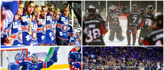 Småländsk tokdominans i hockey-Sverige