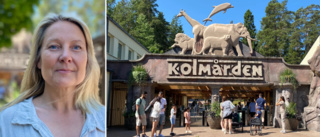 Kolmården kan bli världens mest hållbara djurpark