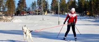 De skidrade tillsammans med hundarna